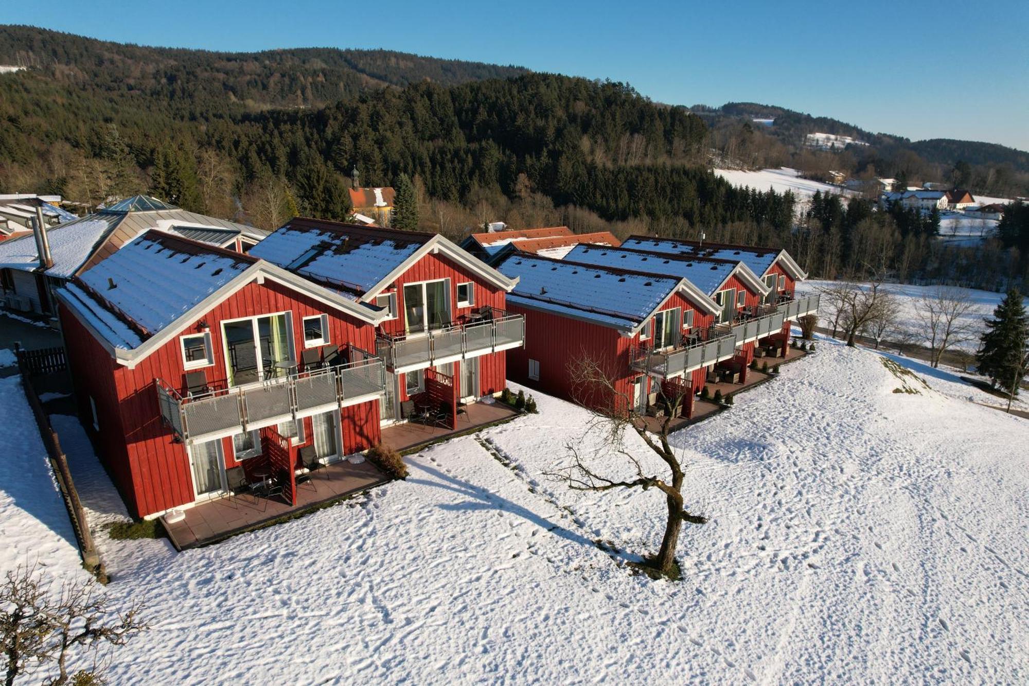 Village Hotel Bayerischer Wald Neukirchen (Lower Bavaria) Exterior foto