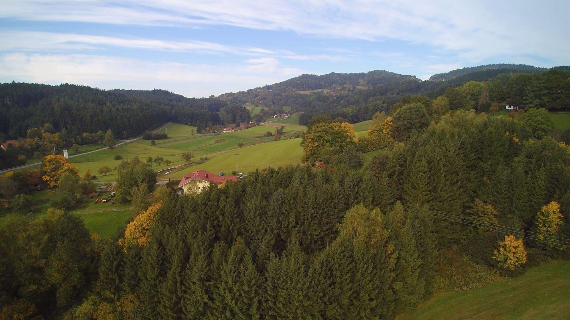 Village Hotel Bayerischer Wald Neukirchen (Lower Bavaria) Exterior foto