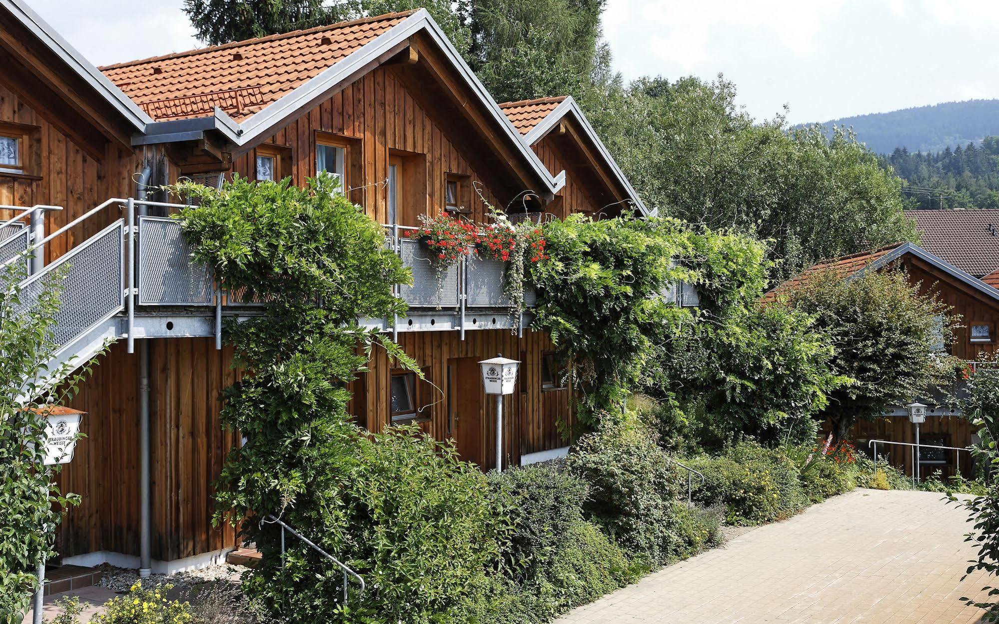 Village Hotel Bayerischer Wald Neukirchen (Lower Bavaria) Exterior foto