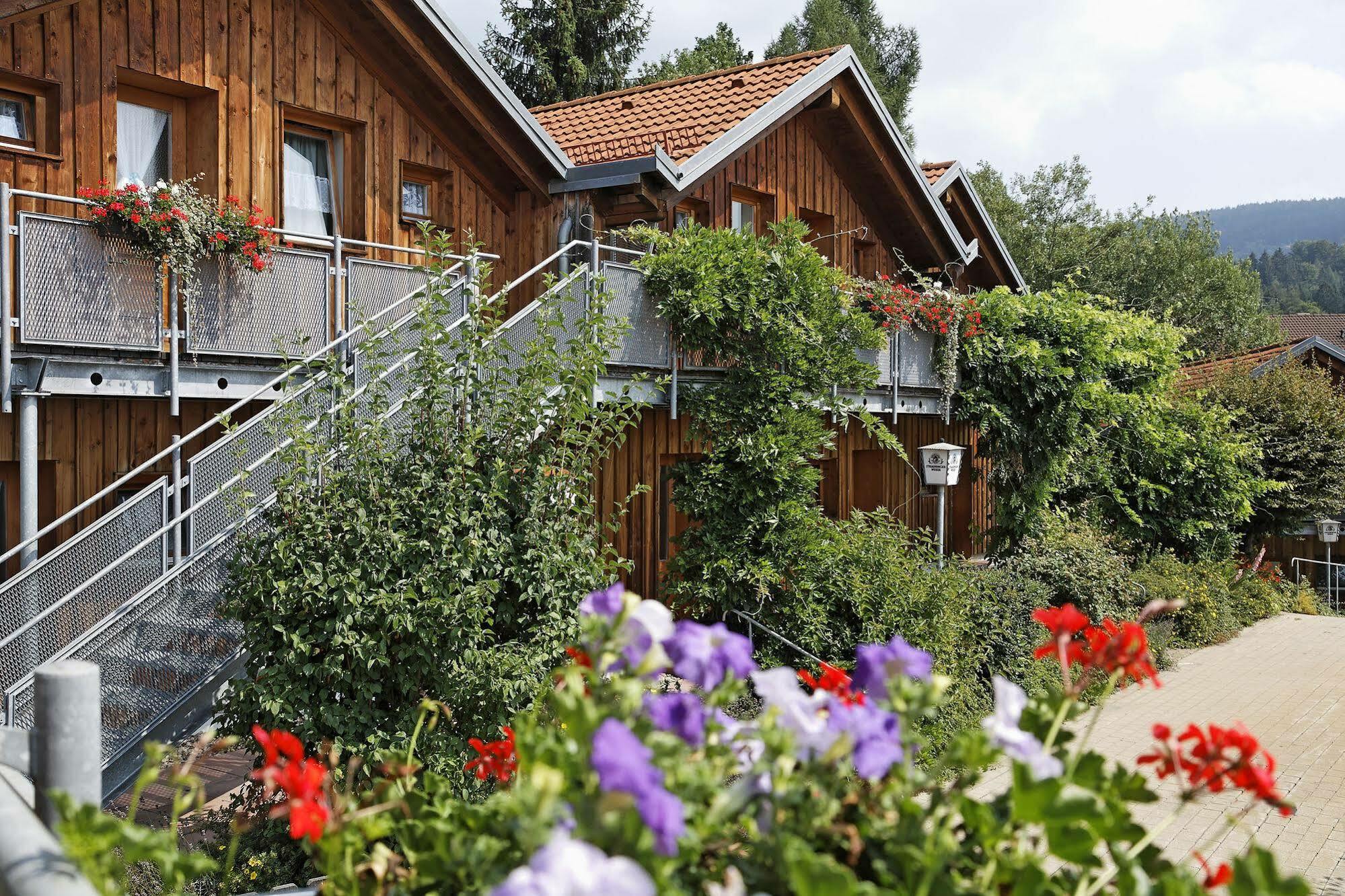 Village Hotel Bayerischer Wald Neukirchen (Lower Bavaria) Exterior foto